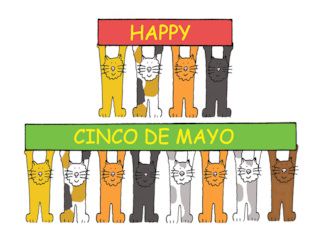 Happy Cinco de Mayo...