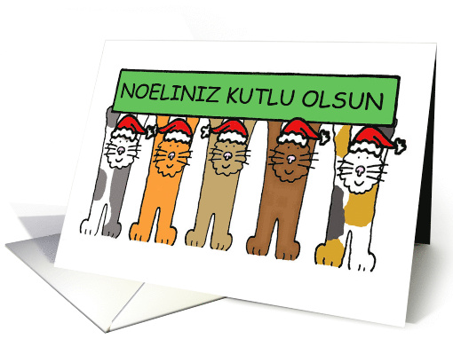 Turkish Happy Christmas Noeliniz Kutlu Olsun Cartoon Cats in Hats card