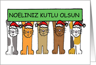 Turkish Happy Christmas Noeliniz Kutlu Olsun Cartoon Cats in Hats card
