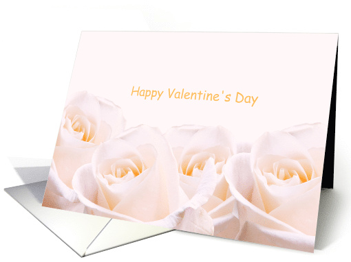 Romantic Pale Pink Roses Happy Valentine's Day to My Wife card