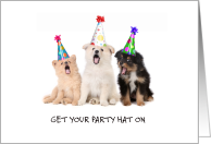Cute Puppies in Party Hats Singing Fun Party Invitation card