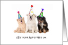 Cute Puppies in Party Hats Singing Fun Party Invitation card