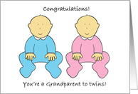 Congratulations You’re a Grandparent to Twins a Boy and a Girl card