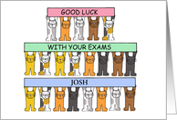 Good Luck with Your Exams Cartoon Cats to Personalize with Any Name card