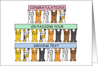 Congratulations on Passing Your Driving Test Cartoon Cats card
