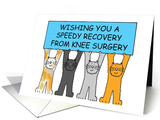 Wishing you a Speedy Recovery from Knee Surgery Cartoon Cats card