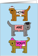 How Are You Cartoon Dogs in Coats and Hats Blank Card