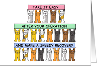 Take it Easy After Your Operation Speedy Recovery Cute Cartoon Cats card