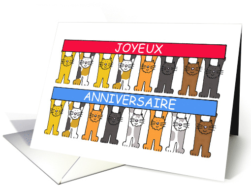 Joyeux Anniversaire Happy Birthday in French Cartoon Cats card
