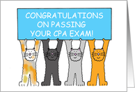 Congratulations on Passing Your CPA Exam Cartoon Cats and Banner card