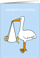 Congratulations New Pet Kitten or Cat Fur Baby Cartoon Stork Humor card