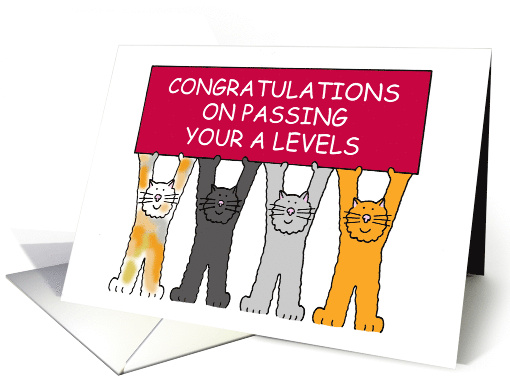 Congratulations On Passing Your A Levels Cartoon Cats... (1392410)