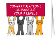 Congratulations On Passing Your A Levels Cartoon Cats Holding Banners card