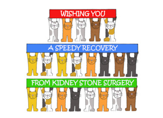 Speedy Recovery from Kidney Stone Surgery Cartoon Cats