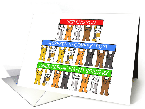 Speedy Recovery from Knee Replacement Surgery Cartoon Cats card