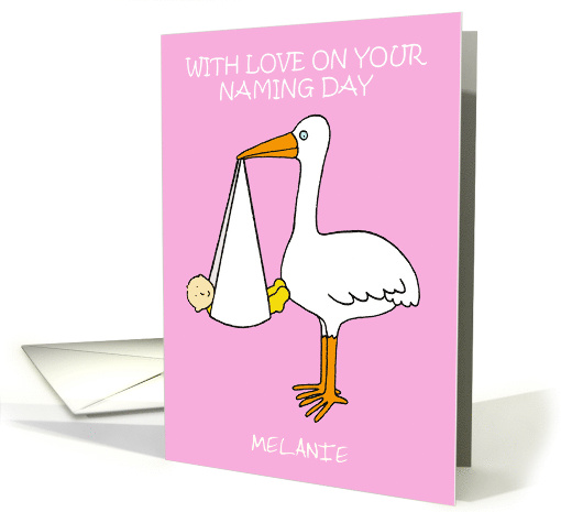 Congratulations Baby Naming Day for a Girl Cartoon Stork card