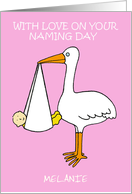 Congratulations Baby Naming Day for a Girl Cartoon Stork card