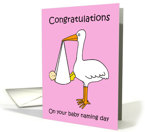 Baby Naming Day Congratulations for a Girl Cartooon Stork... (1414182)