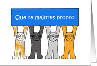 Spanish Get Well Soon Que te mejores pronto Cartoon Cats card