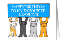 Leap Year February 29th Birthday Cute Cartoon Cats with a Banner card