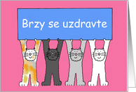 Czech Get Well Soon Brzy se uzdravte Cartoon Cats and a Banner card