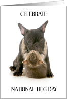 National Hug Day January 21st Tabby Kitten Hugging French Bulldog card