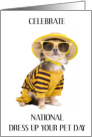 National Dress up Your Pet Day January 14th Dog in Fun Outfit card