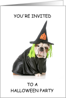 Halloween Children’s Party Invitation Bulldog in a Halloween Costume card