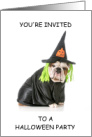 Halloween Children’s Party Invitation Bulldog in a Halloween Costume card