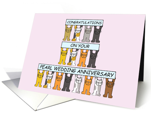 Pearl Wedding Anniversary Cute Cartoon Cats Holding Up Banners card