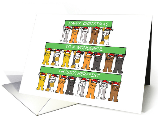 Physiotherapist Happy Christmas Cartoon Cats Wearing Santa Hats card