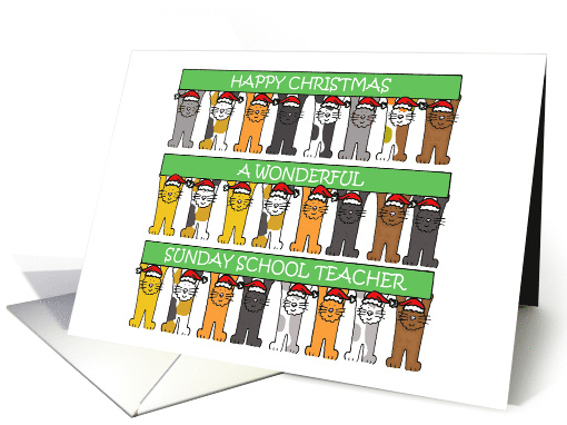 Sunday School Teacher Happy Christmas card (1461396)