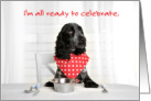Happy Thanksgiving from Pet Dog Cute Cocker Spaniel at Dinner Table card