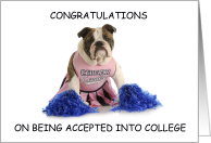 Congratulations College or School Acceptance Bulldog Cheerleader Fun card