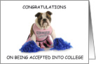 Congratulations College or School Acceptance Bulldog Cheerleader Fun card