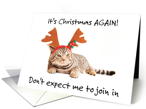 Humbug Day December 21st Funny Tabby Grumpy Cat with Antlers card