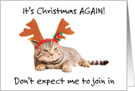 Humbug Day December 21st Funny Tabby Grumpy Cat with Antlers card
