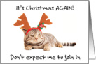 Humbug Day December 21st Funny Tabby Grumpy Cat with Antlers card