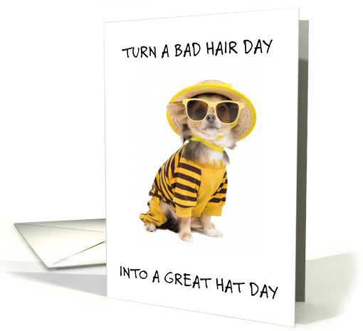 National Hat Day January 15th Chiuhauhau in Hat Glasses and Coat card