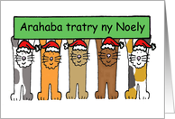 Madagascar Happy Christmas Cartoon Cats card
