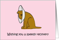 Speedy Recovery from...