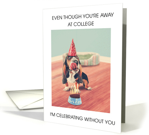 Happy Birthday Away at College Funny Dog in Party Hat with a Cake card