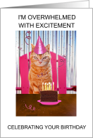 Happy Birthday While You are Away at College from the Cat. card