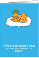 Loss of Pet Cat...