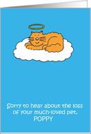 Loss of Pet Cat Sympathy Cartoon to Personalize with any Pet Name card