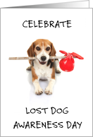 Lost Dog Awareness Day April 24th Beagle with Napsack on a Stick card