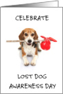 Lost Dog Awareness Day April 24th Beagle with Napsack on a Stick card