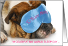 World Sleep Day March Cute Bulldog Wearing a Blue Satin Eye Mask card