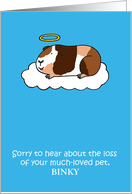 Loss of Guinea Pig...