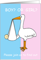 Gender Reveal Party Invitation for baby, cute stork. card
